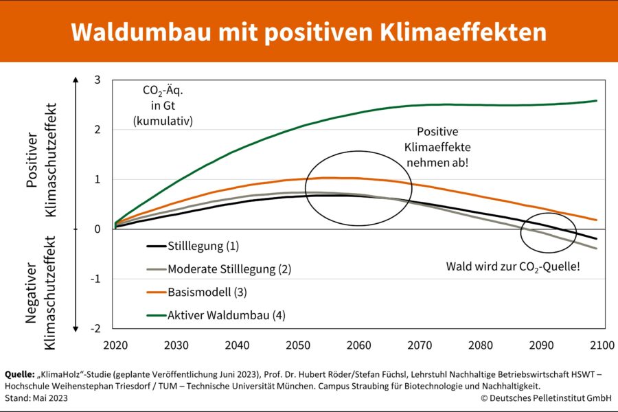 DEPI Grafik Klimaholzstudie